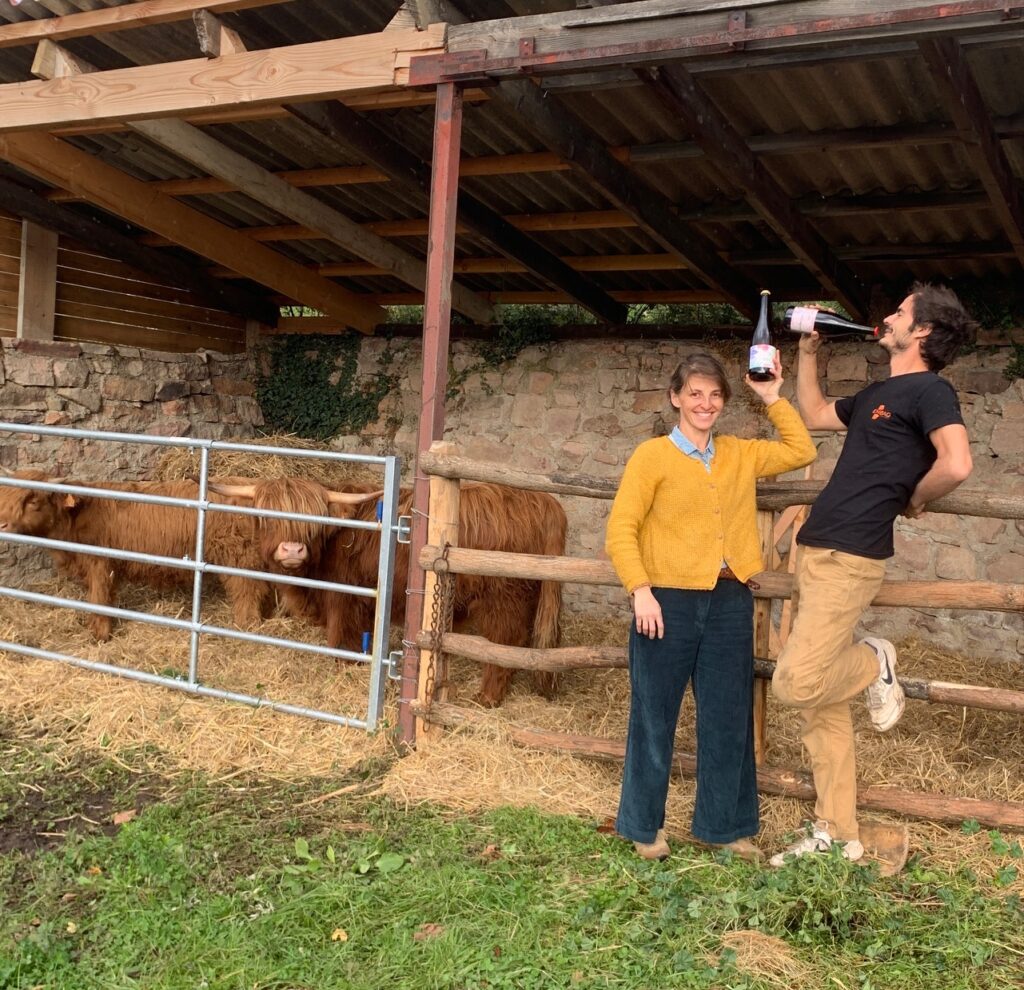 Sophie et David, bouteille du clos sauvage à la main, près des vaches