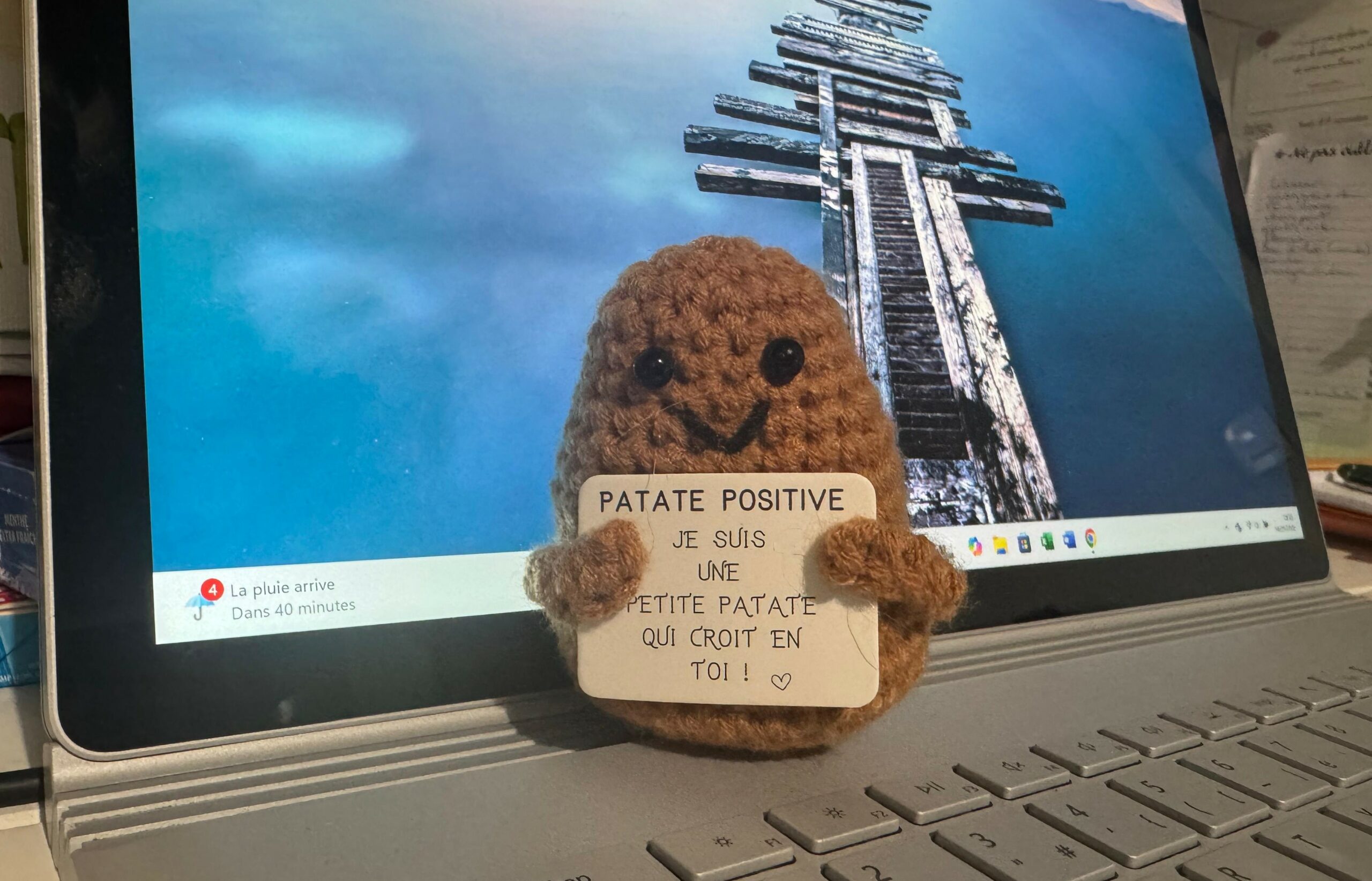 Ma patate positive et moi